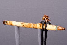 Yellow Cedar Burl Native American Flute, Minor, Mid A-4, #J23D (3)